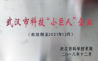 武汉市科技小巨人企业 